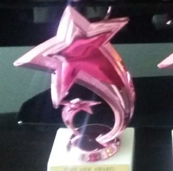 Women of Danbury honor CAN-DO Foundation and other women!